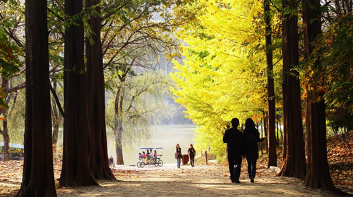 韩国首尔5日半自助游(3钻)·纯玩 江原道+2日
