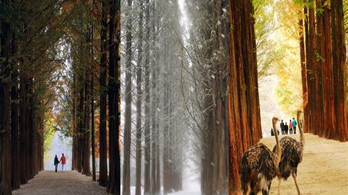 请问签证费用是多少钱,首尔旅游