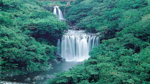 去韩国签证需要哪些材,济州岛旅游