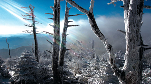 济州岛旅游线路攻略_济州岛自助游_团队游线