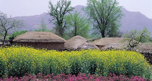 【携程攻略】沈阳到韩国旅游报价,沈阳到韩国