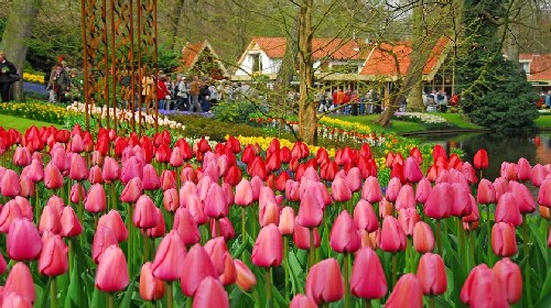 荷兰旅游线路攻略_荷兰自助游_团队游线路\/旅