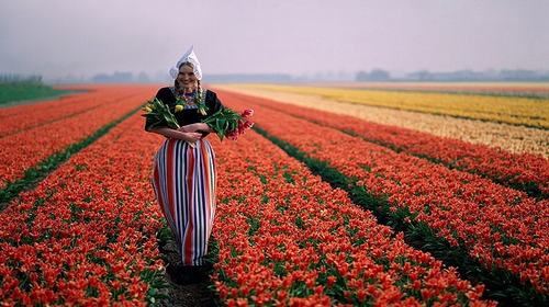 【呼和浩特】法国+荷兰+比利时10日跟团游(4