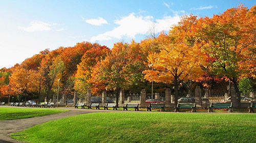 1.团餐都是当地比较,加拿大尼亚加拉大瀑布+多
