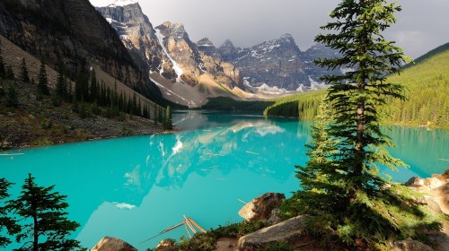 美国东西海岸+夏威夷+加拿大东西海岸20日跟