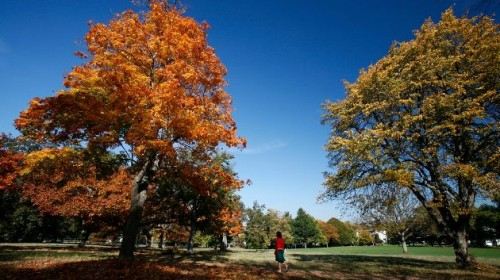 美国+加拿大++瀑布城15日13晚跟团游·横跨美