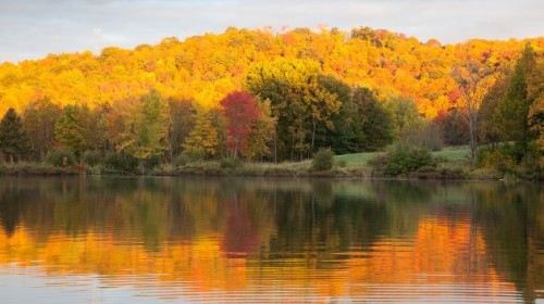 赏枫游·加拿大10日跟团游(3钻)·含签\/最美赏