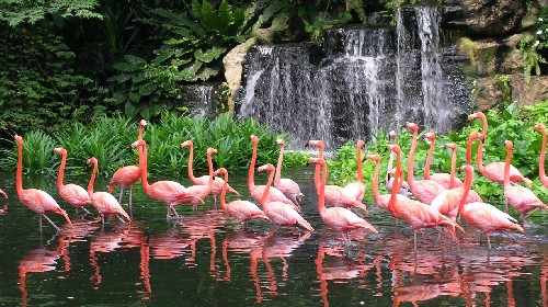 新加坡5日4晚自由行·SQ航空,新加坡文华东方