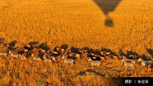 肯尼亚旅游线路攻略_肯尼亚自助游_团队游线