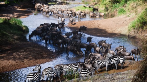 魅力非洲!魅力肯尼亚,内罗毕旅游