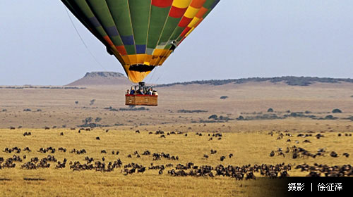 肯尼亚内罗毕+马赛马拉国家公园8日7晚跟团游
