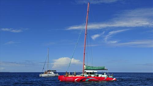 毛里求斯双体船出海观海豚一日游(中文导游+周