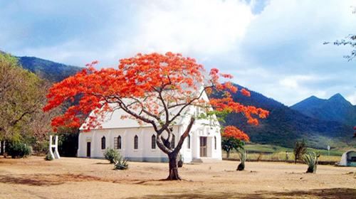 毛里求斯8日5晚跟团游·天堂酒店+威斯汀海景