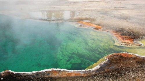 【合肥】美国东西海岸+黄石公园17日跟团游(4