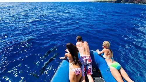 毛里求斯3日跟团游·蓝湾追海豚+鹿岛双体船