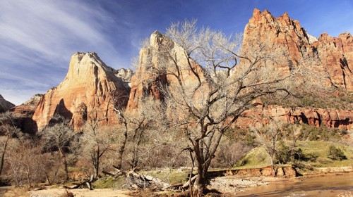 【上海】美国东西海岸+黄石公园16日跟团游(3