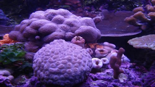 墨西哥+古巴11日8晚跟团游·坎昆升海边五星