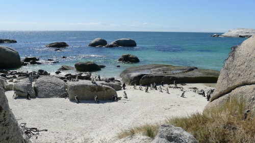 请问迪拜跟中国有时差,开普敦旅游
