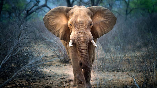 南非旅游线路攻略_南非自助游_团队游线路\/旅