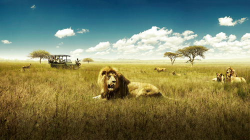 南非旅游线路攻略_南非自助游_团队游线路\/旅