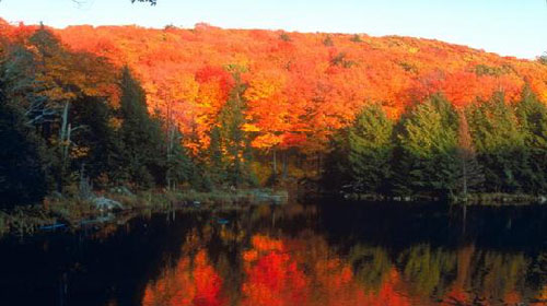 家长带孩子同行的话共,大阪旅游