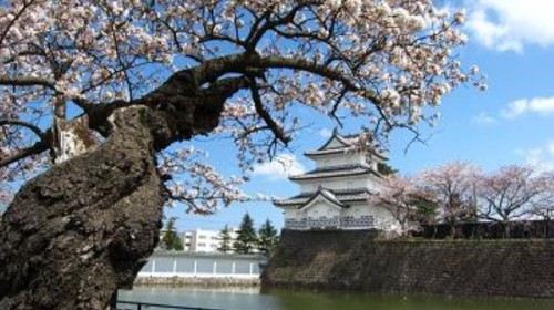 【杭州】日本新泻5日跟团游(3钻)·樱花盛典 艺