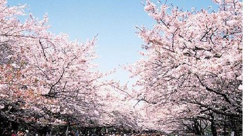 【杭州】日本东京+箱根+京都+大阪6日跟团游