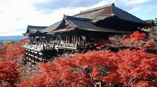 【苏州】日本大阪+京都+奈良+神户+伊势市+名