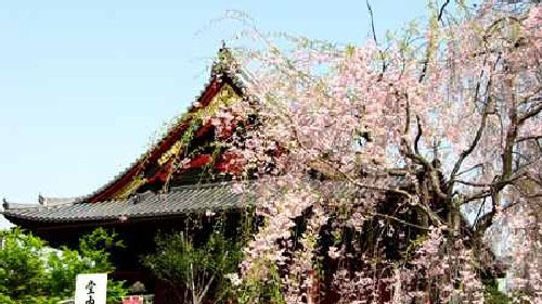 可以选择品川王子酒店,东京旅游