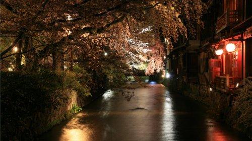 您好,如果正值暑假期,东京旅游