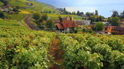 【携程攻略】南京到法国旅游报价,南京到法国