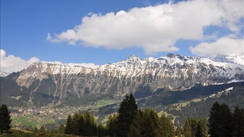 【徐州】德国+瑞士11日跟团游(3钻)·山川\/湖