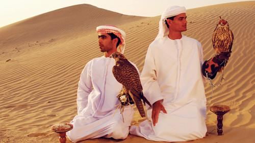 早订爽·迪拜玩转沙漠酒店+阿布扎比5日豪华