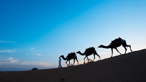 【携程攻略】郑州到迪拜旅游报价,郑州到迪拜