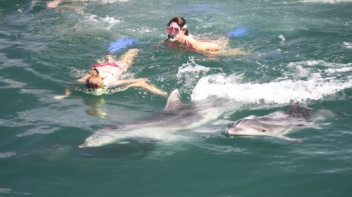 澳大利亚+汉密尔顿岛+黄金海岸9日7晚跟团游