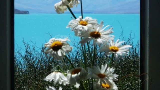 【携程攻略】上海到新西兰旅游报价,上海到新