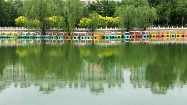 宣化人民公园旅行图片 2