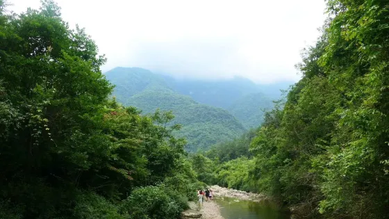 養馬峽