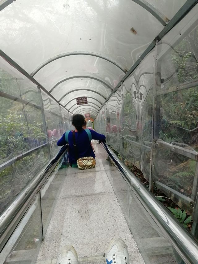 滴水源景区旅行图片 7