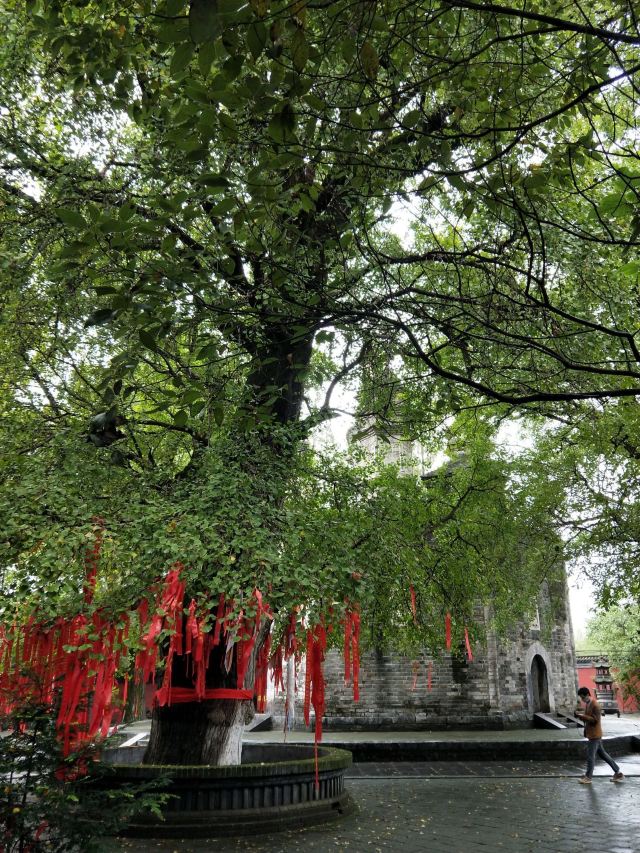 勑赐广德寺旅行图片 2