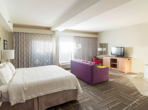 塞维尔维尔酒店住宿-Hampton Inn Sevierville