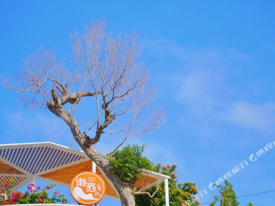 珠海市桂山镇懒猫客栈