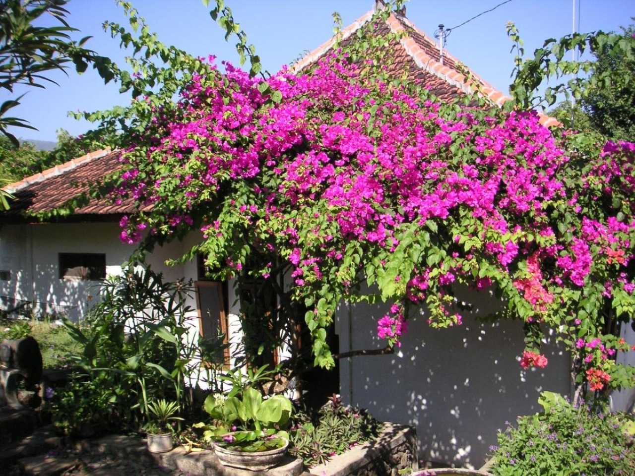 圣纳达小屋-官方