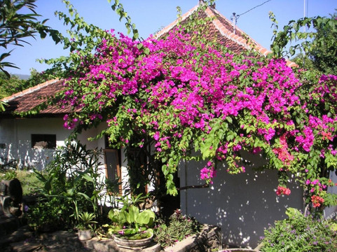 新加拉惹酒店住宿-圣纳达小屋