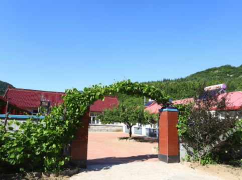 冰峪沟山水绿源农家院