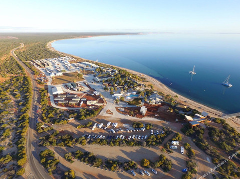 Monkey Mia酒店住宿-猴子美亚海滩度假村