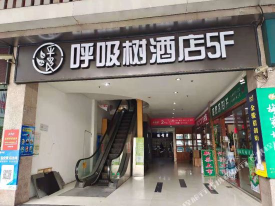 呼吸树酒店（上海大宁国际广场店）
