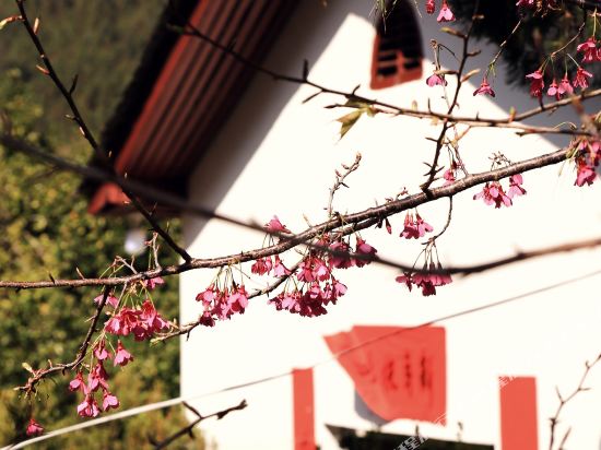 将乐在水一方休闲山庄