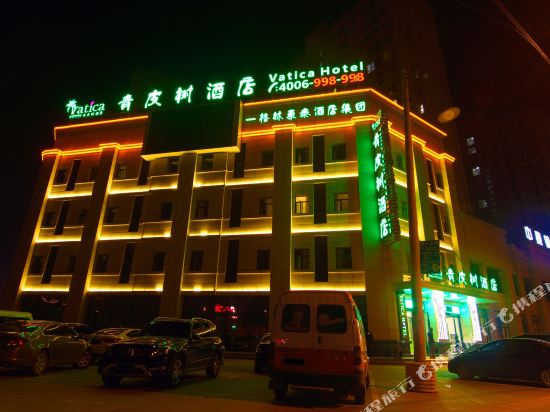 青皮树酒店(临泉解放南路店)