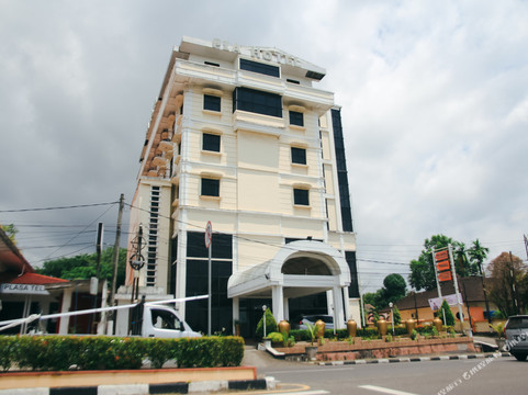 皮亚旅馆庞卡尔皮南